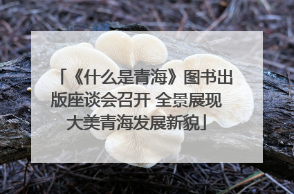 《什么是青海》图书出版座谈会召开 全景展现大美青海发展新貌