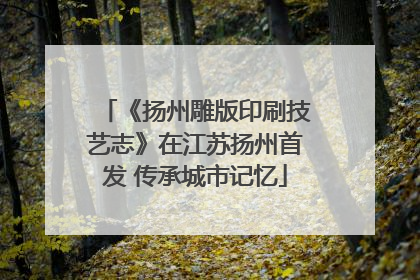 《扬州雕版印刷技艺志》在江苏扬州首发 传承城市记忆