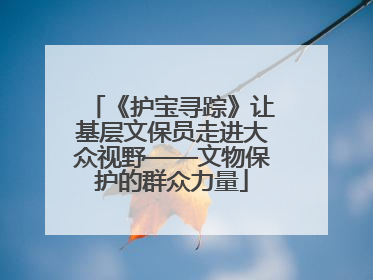 《护宝寻踪》让基层文保员走进大众视野——文物保护的群众力量