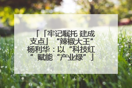 「牢记嘱托 建成支点」“辣椒大王”杨利华：以“科技红”赋能“产业绿”