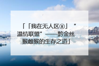 「我在无人区⑧」“温情联盟”——黔金丝猴雌猴的生存之道