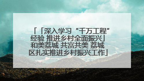 「深入学习“千万工程”经验 推进乡村全面振兴」和美荔城 共富共美 荔城区扎实推进乡村振兴工作