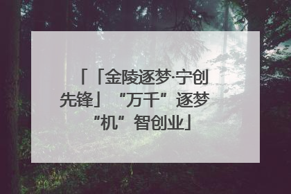 「金陵逐梦·宁创先锋」“万千”逐梦 “机”智创业