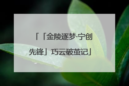 「金陵逐梦·宁创先锋」巧云破茧记