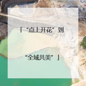 “点上开花”到“全域共美”