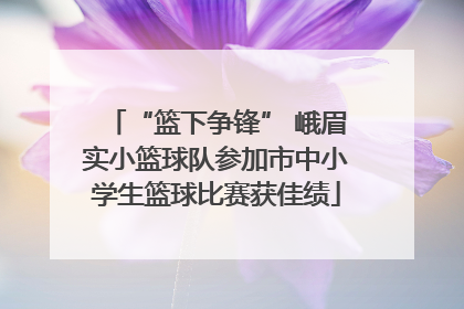 “篮下争锋” 峨眉实小篮球队参加市中小学生篮球比赛获佳绩