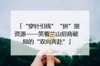 “穿针引线”“拼”接资源——笑看兰山招商破局的“双向奔赴”
