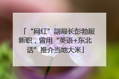 “网红”副局长彭勃履新职，曾用“英语+东北话”推介当地大米