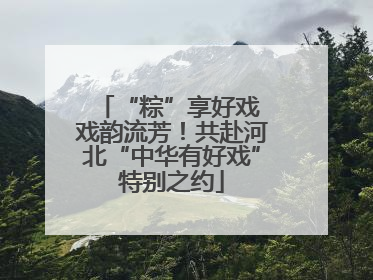 “粽”享好戏 戏韵流芳！共赴河北“中华有好戏”特别之约