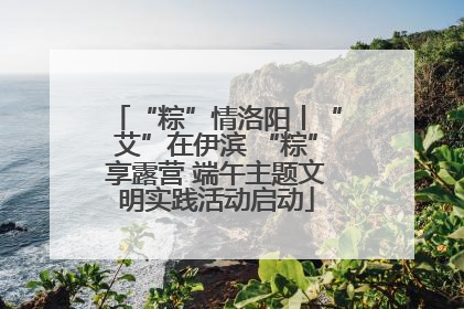 “粽”情洛阳丨“艾”在伊滨 “粽”享露营 端午主题文明实践活动启动
