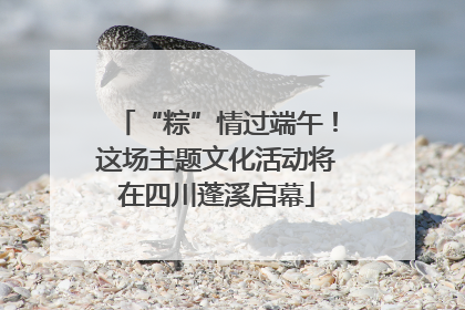 “粽”情过端午！这场主题文化活动将在四川蓬溪启幕