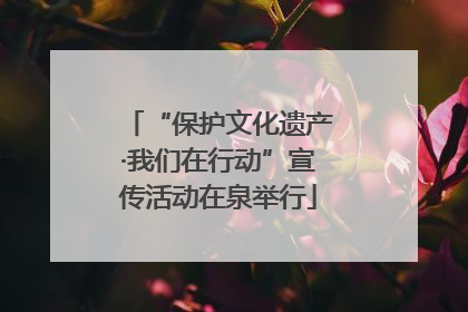 “保护文化遗产·我们在行动”宣传活动在泉举行