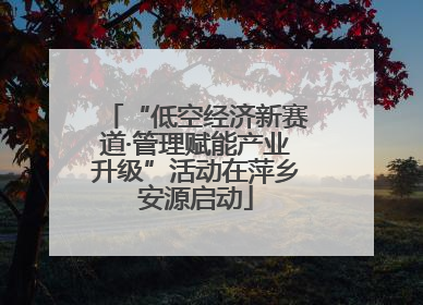 “低空经济新赛道·管理赋能产业升级”活动在萍乡安源启动