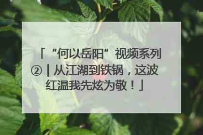 “何以岳阳”视频系列②｜从江湖到铁锅，这波红温我先炫为敬！