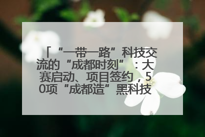 “一带一路”科技交流的“成都时刻”：大赛启动、项目签约，50项“成都造”黑科技吸引多国客商