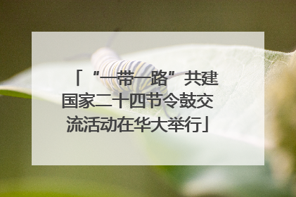 “一带一路”共建国家二十四节令鼓交流活动在华大举行