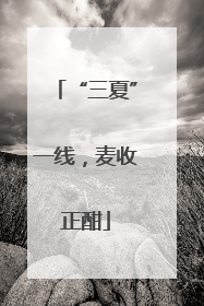 “三夏”一线，麦收正酣