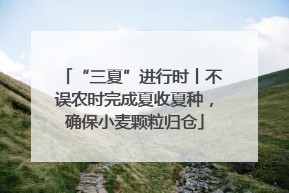 “三夏”进行时丨不误农时完成夏收夏种，确保小麦颗粒归仓