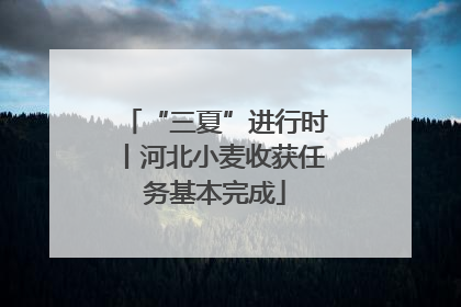 “三夏”进行时丨河北小麦收获任务基本完成