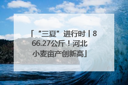 “三夏”进行时丨866.27公斤！河北小麦亩产创新高