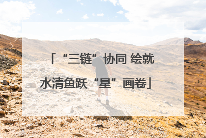 “三链”协同 绘就水清鱼跃“星”画卷