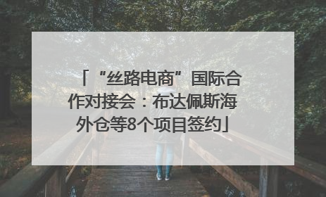 “丝路电商”国际合作对接会：布达佩斯海外仓等8个项目签约