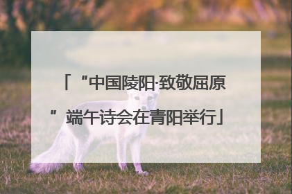 “中国陵阳·致敬屈原”端午诗会在青阳举行