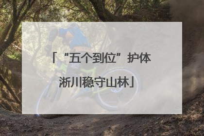 “五个到位”护体 淅川稳守山林