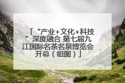 “产业+文化+科技”深度融合 第七届九江国际名茶名泉博览会开幕（组图）
