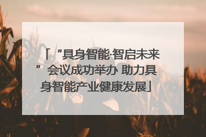 “具身智能·智启未来”会议成功举办 助力具身智能产业健康发展