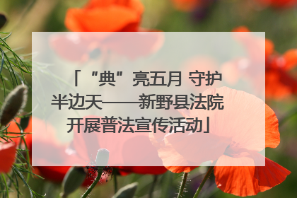 “典”亮五月 守护半边天——新野县法院开展普法宣传活动
