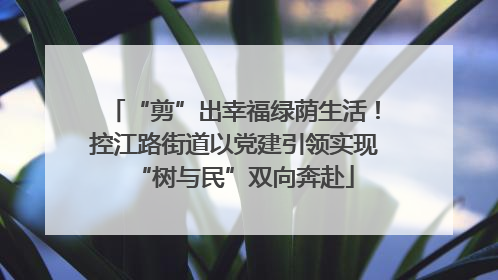 “剪”出幸福绿荫生活！控江路街道以党建引领实现“树与民”双向奔赴