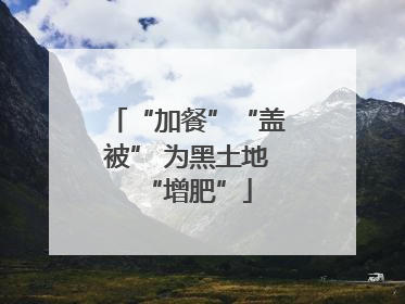 “加餐”“盖被” 为黑土地“增肥”