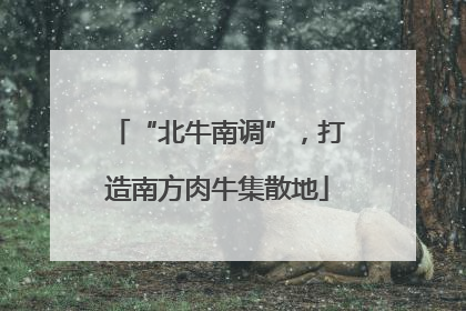 “北牛南调”，打造南方肉牛集散地