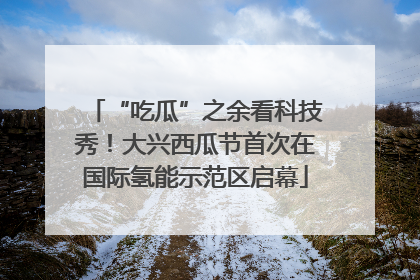 “吃瓜”之余看科技秀！大兴西瓜节首次在国际氢能示范区启幕