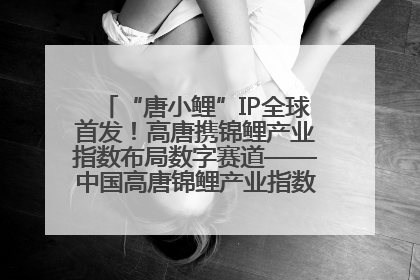 “唐小鲤”IP全球首发！高唐携锦鲤产业指数布局数字赛道——中国高唐锦鲤产业指数暨“唐小鲤”IP全球首发仪式在杭州举行