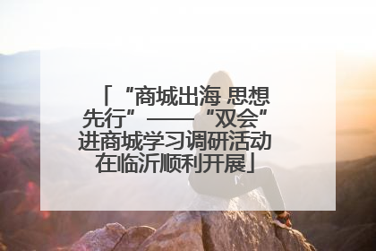 “商城出海 思想先行”——“双会”进商城学习调研活动在临沂顺利开展