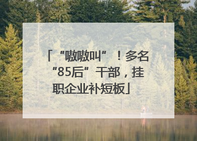 “嗷嗷叫”！多名“85后”干部，挂职企业补短板