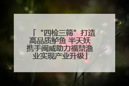 “四检三筛”打造高品质鲈鱼 半天妖携手闽威助力福鼎渔业实现产业升级