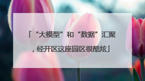“大模型”和“数据”汇聚，经开区这座园区很酷炫