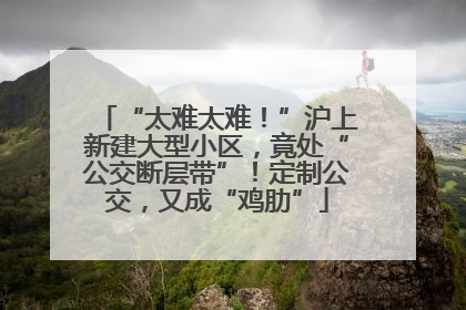 “太难太难！”沪上新建大型小区，竟处“公交断层带”！定制公交，又成“鸡肋”