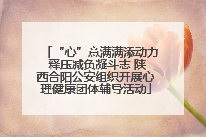 “心”意满满添动力 释压减负凝斗志 陕西合阳公安组织开展心理健康团体辅导活动