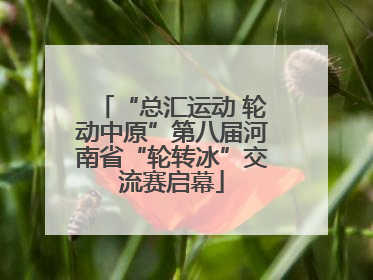 “总汇运动 轮动中原”第八届河南省“轮转冰”交流赛启幕