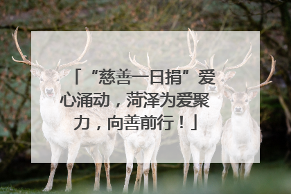 “慈善一日捐”爱心涌动，菏泽为爱聚力，向善前行！