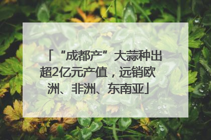 “成都产”大蒜种出超2亿元产值，远销欧洲、非洲、东南亚