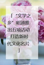“文学之乡”昭通推出五项活动 打造新时代文化名片