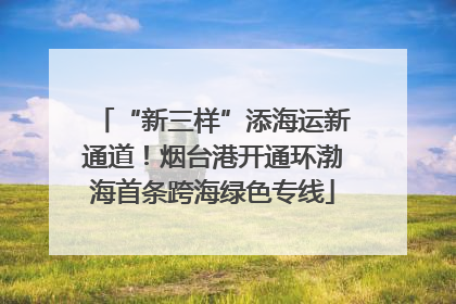 “新三样”添海运新通道！烟台港开通环渤海首条跨海绿色专线