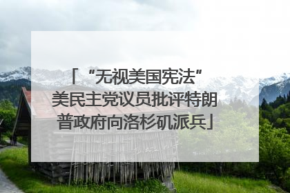 “无视美国宪法” 美民主党议员批评特朗普政府向洛杉矶派兵