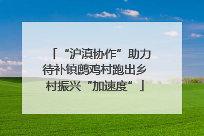 “沪滇协作”助力待补镇鹧鸡村跑出乡村振兴“加速度”