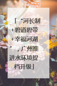 “河长制+碧道碧带+幸福河湖”，广州推进水环境提档升级